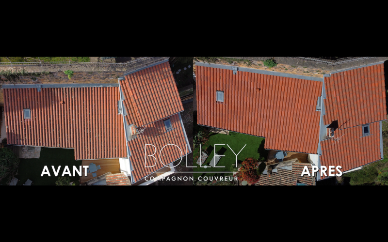 Réalisation d'un nettoyage de toit à Charly (69)