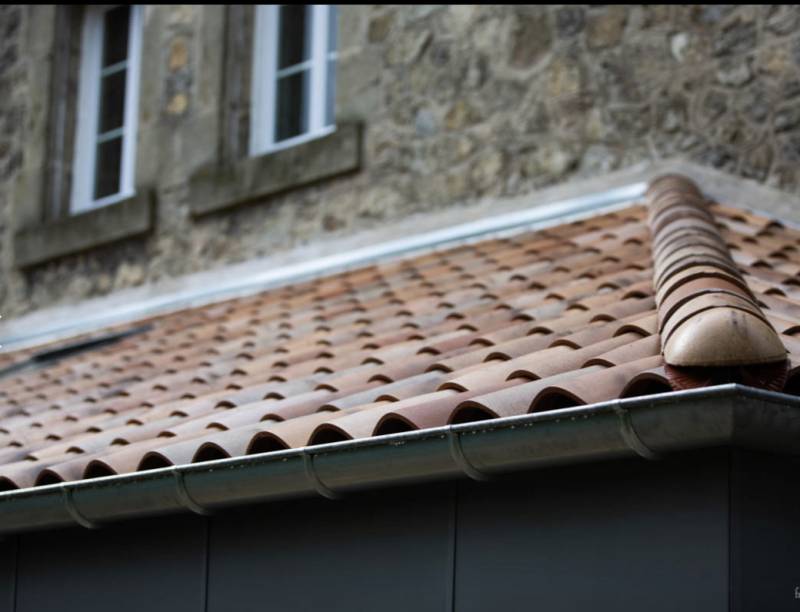 Entreprise de nettoyage de toiture à Meyzieu