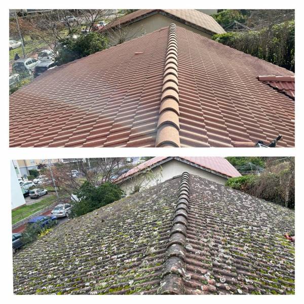 Nettoyage de toit à Chaponost