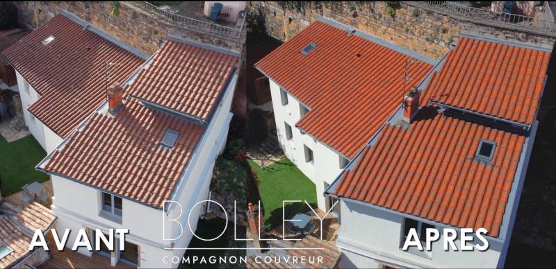 Offre promotionnelle à 9,90€ du m2 pour nettoyage et démoussage de toiture à Francheville