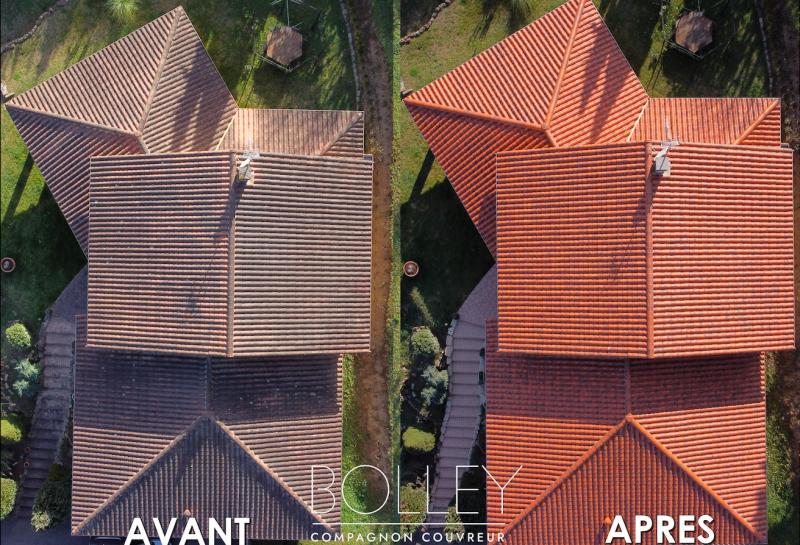 Couvreur pour démoussage de toiture à Ternay